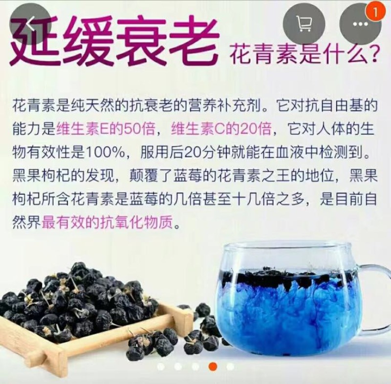 黑枸杞