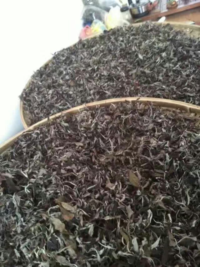 老树茶一级