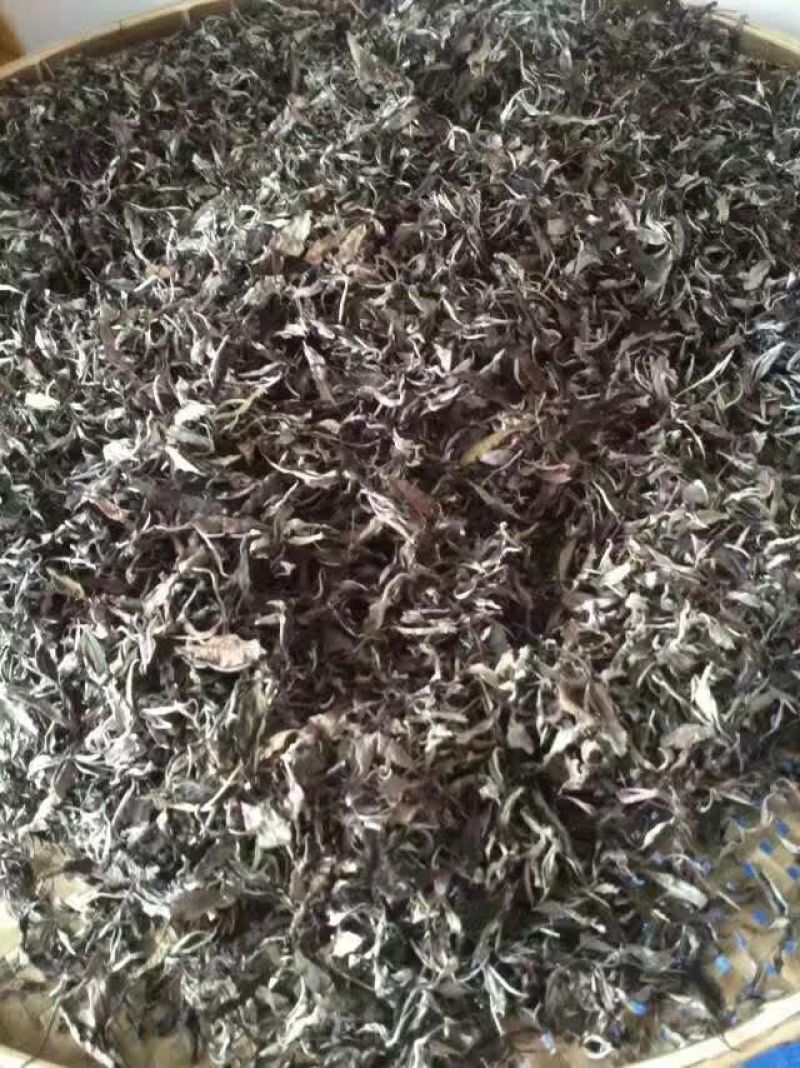 老树茶一级