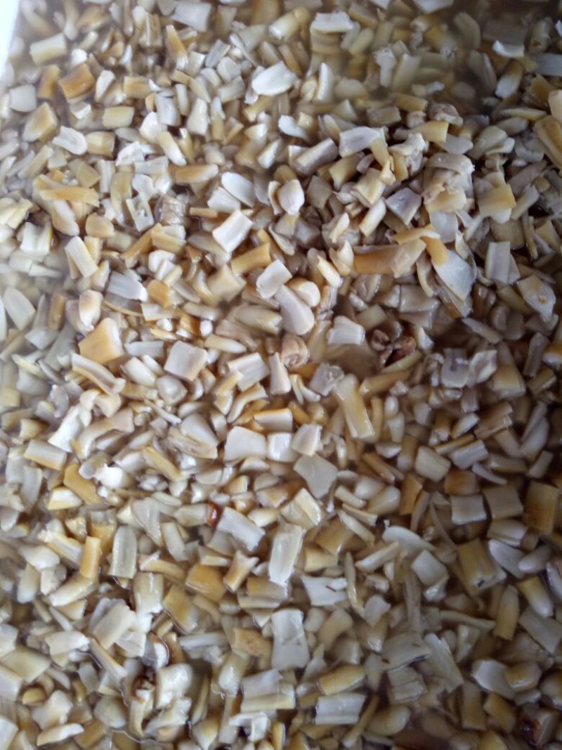 大球盖菇1.2~2cm
