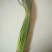 菜苔30~40厘米