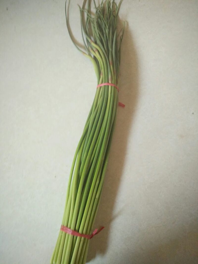 菜苔30~40厘米