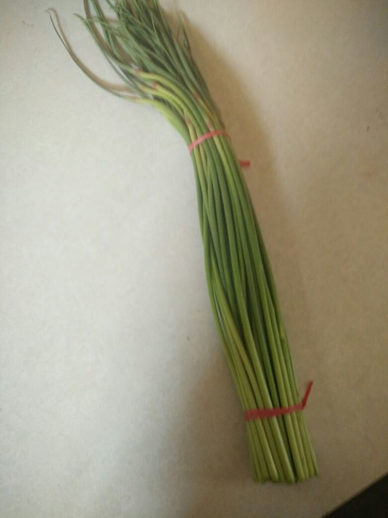 菜苔30~40厘米