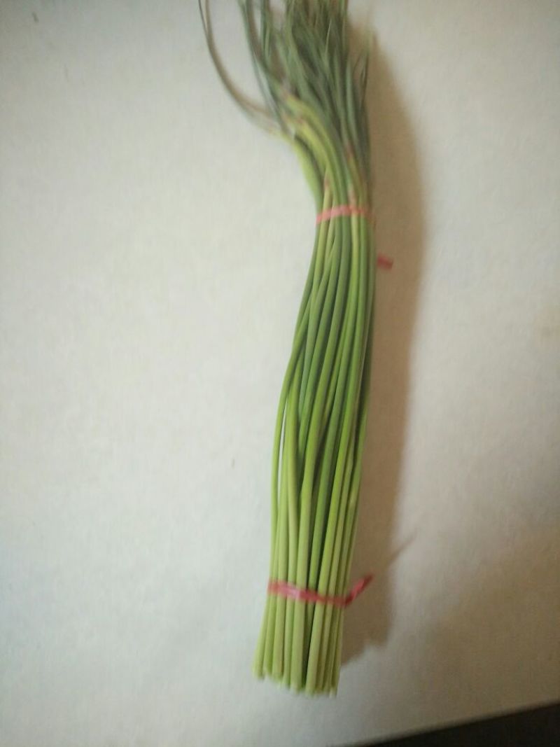 菜苔30~40厘米