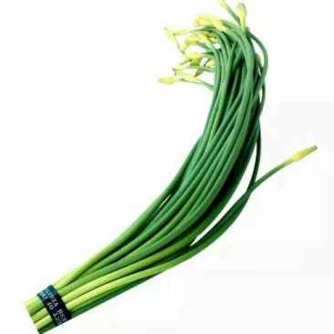 杂交蒜薹精品60~70厘米