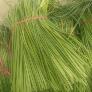 红菜苔30~40厘米