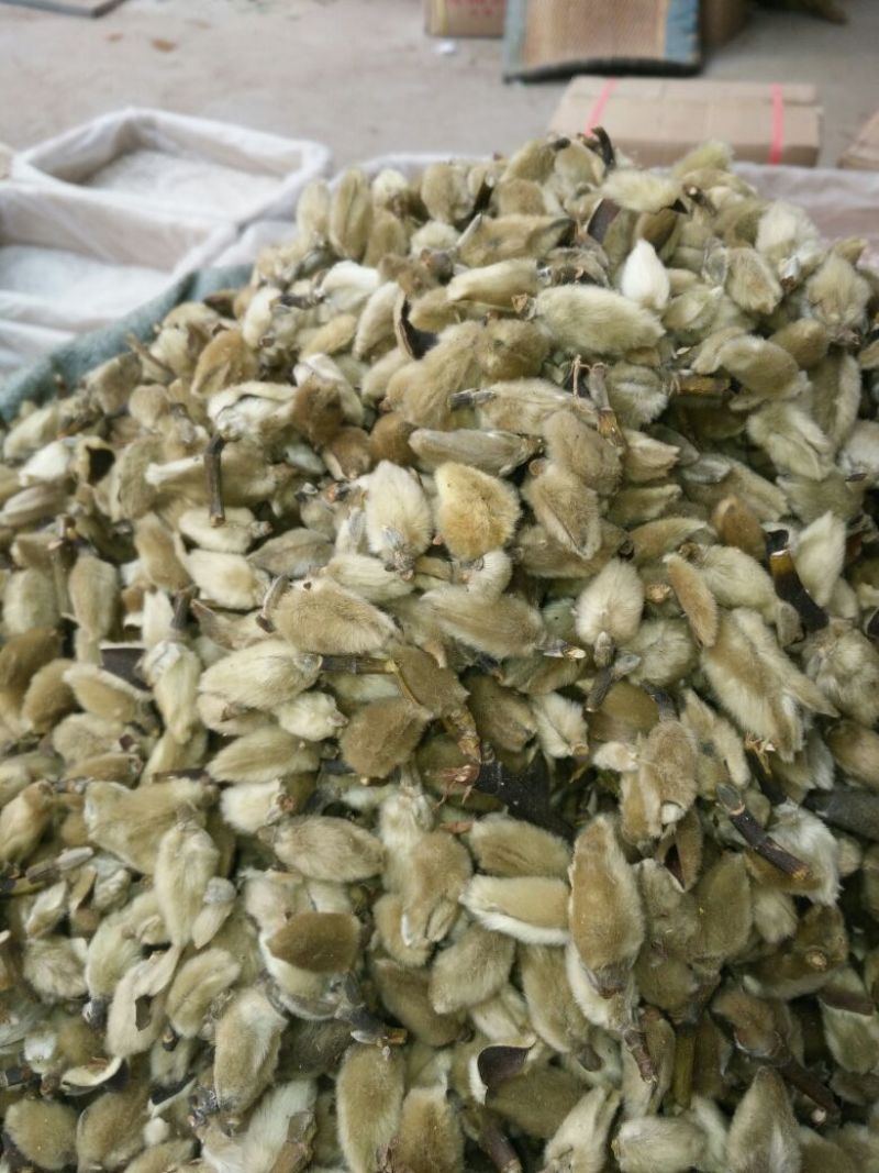 辛夷有梗统货