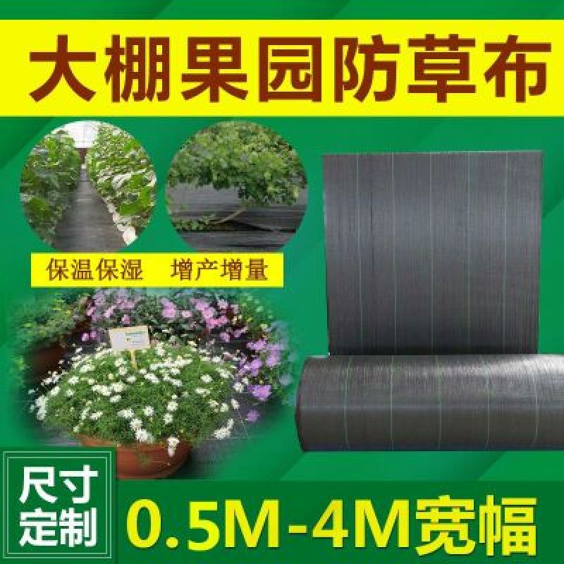 除草布防草布聚乙烯抗老化全新料防草布果树园林专用除草布