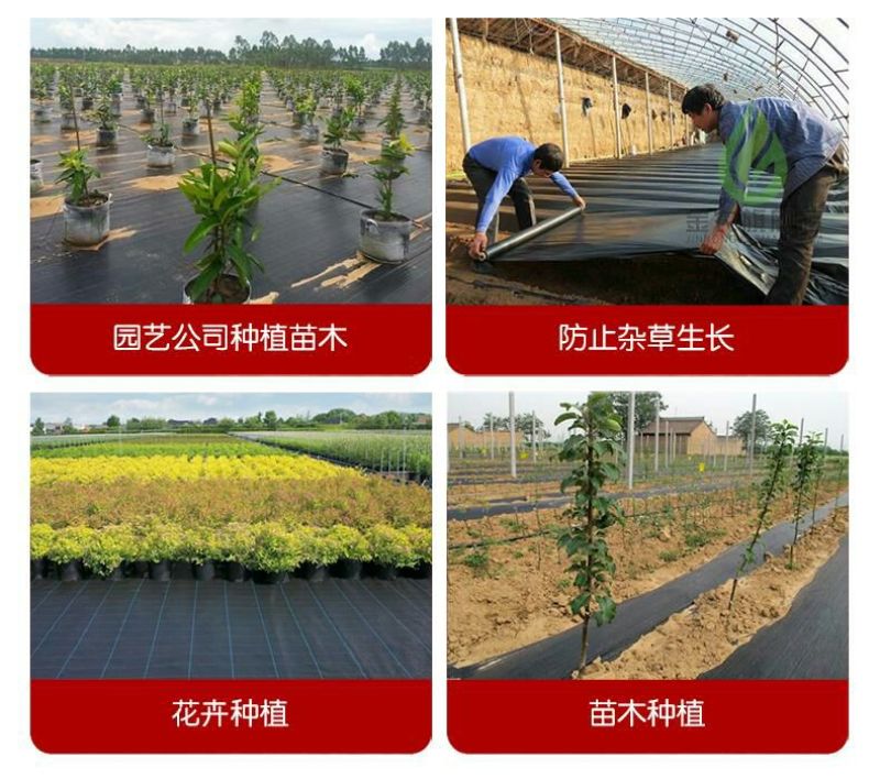 除草布防草布聚乙烯抗老化全新料防草布果树园林专用除草布