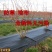 除草布防草布聚乙烯抗老化全新料防草布果树园林专用除草布
