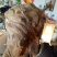 太行崖柏20cm以上0.5~1米