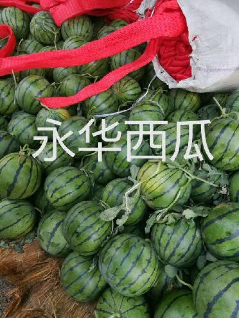 《甜王西瓜》甜度16保熟保甜8斤打底10斤打底