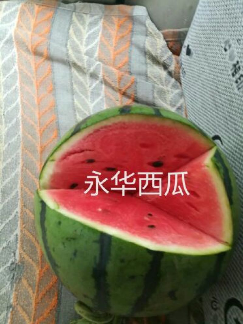 《甜王西瓜》甜度16保熟保甜8斤打底10斤打底