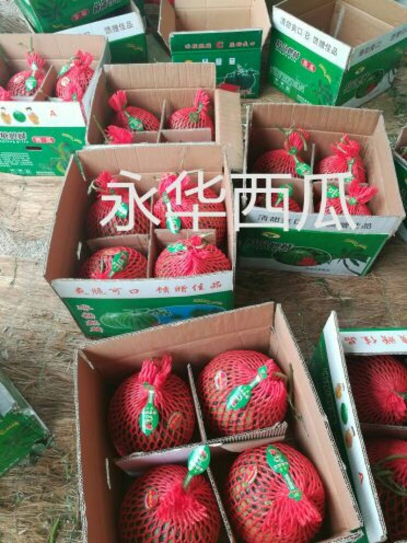 《甜王西瓜》甜度16保熟保甜8斤打底10斤打底