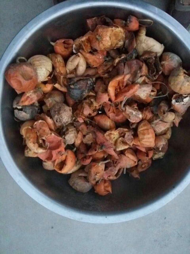 瓜蒌皮