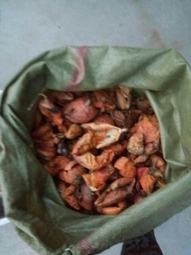 瓜蒌皮