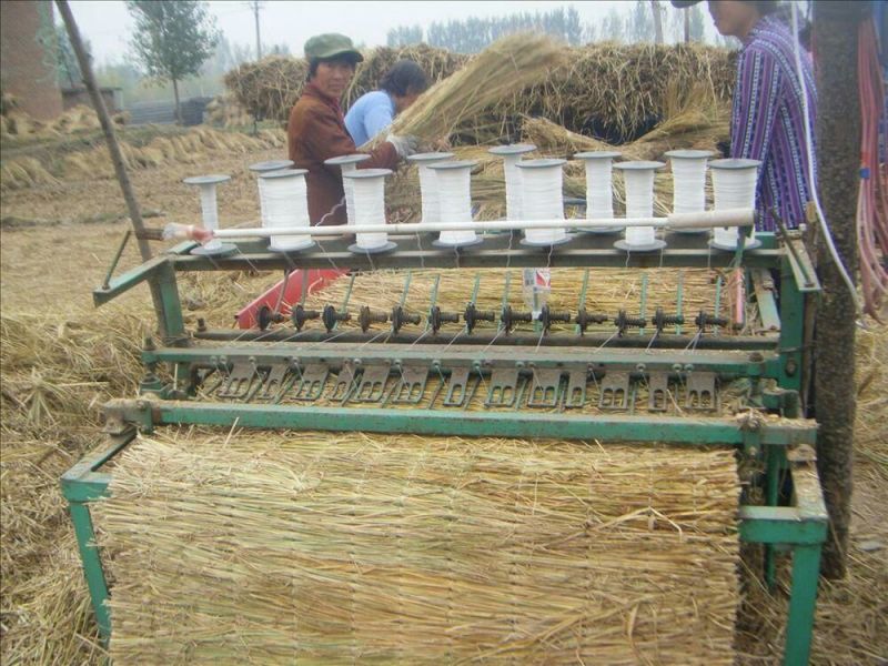 稻草60~80公分