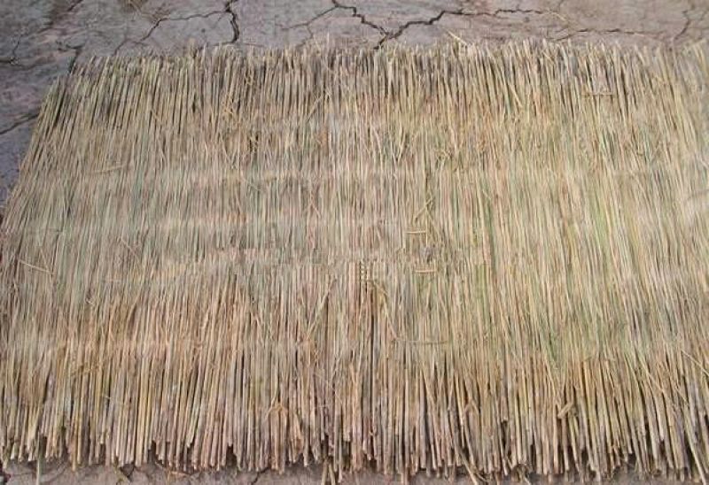 稻草60~80公分