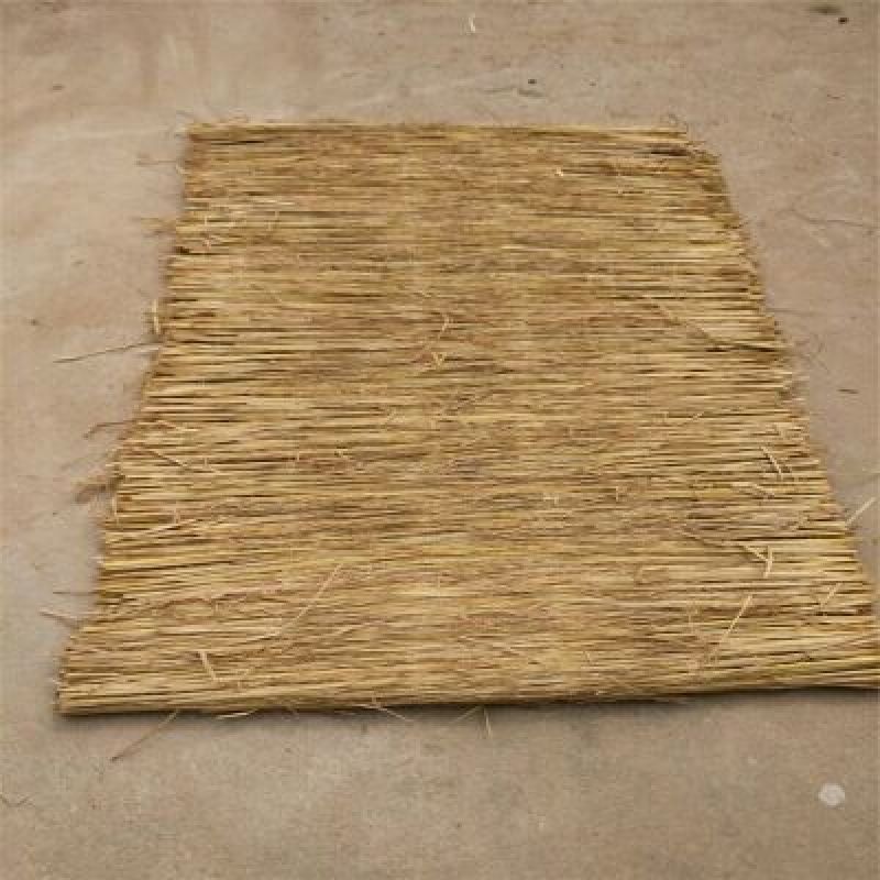 稻草60~80公分