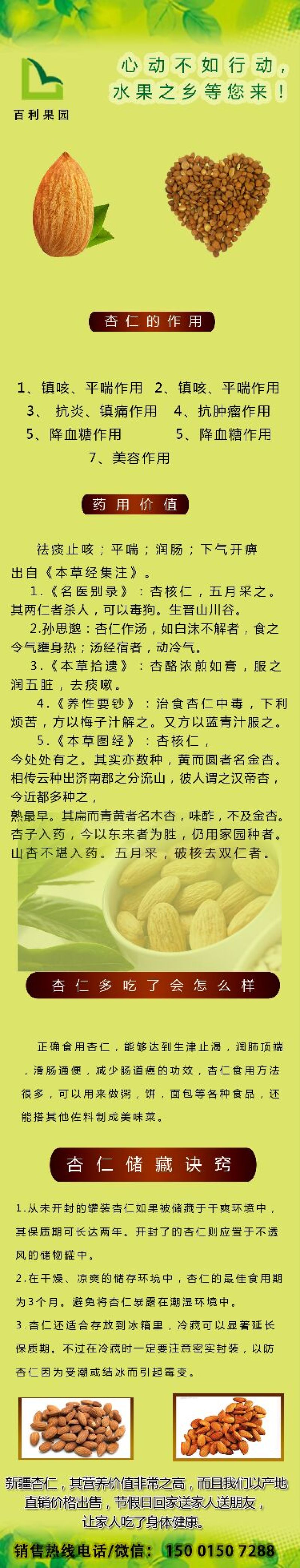 甜杏仁一级