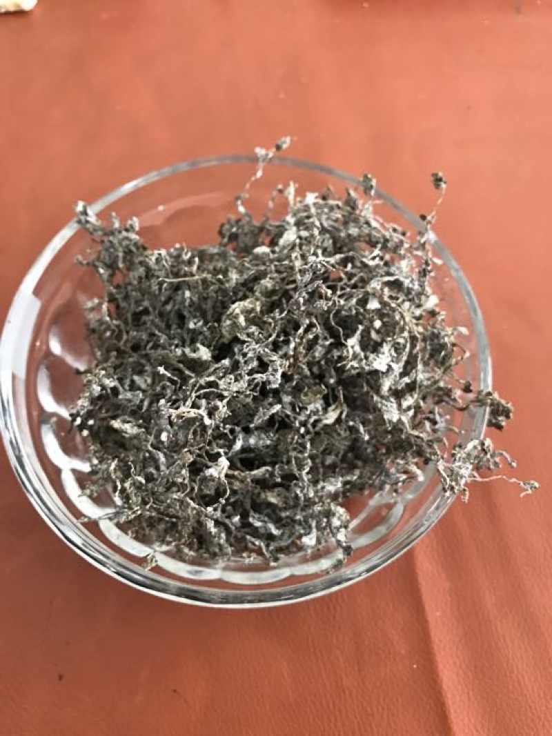 藤茶