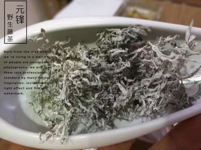 藤茶