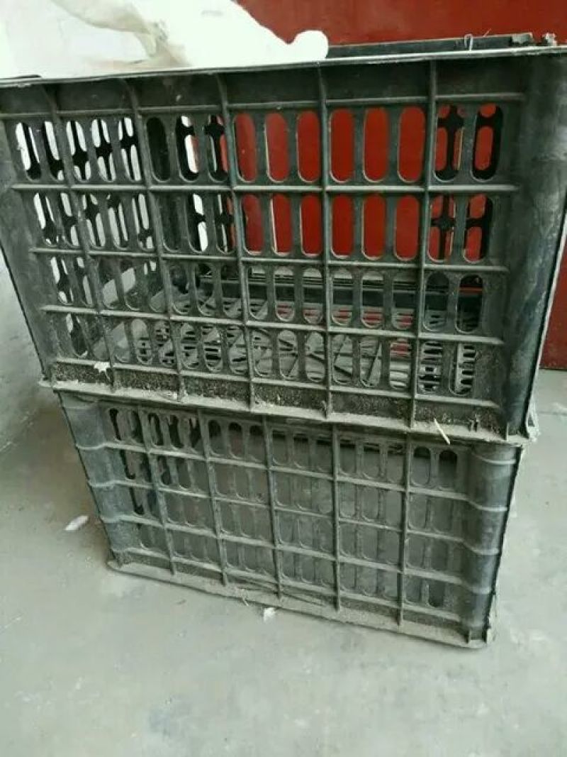 果品包装盒