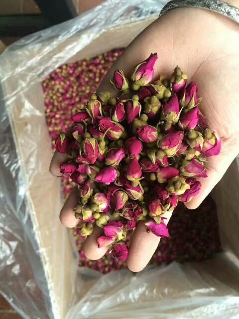 药用玫瑰花