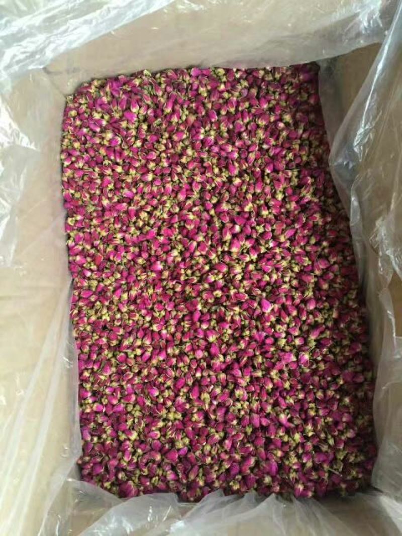药用玫瑰花