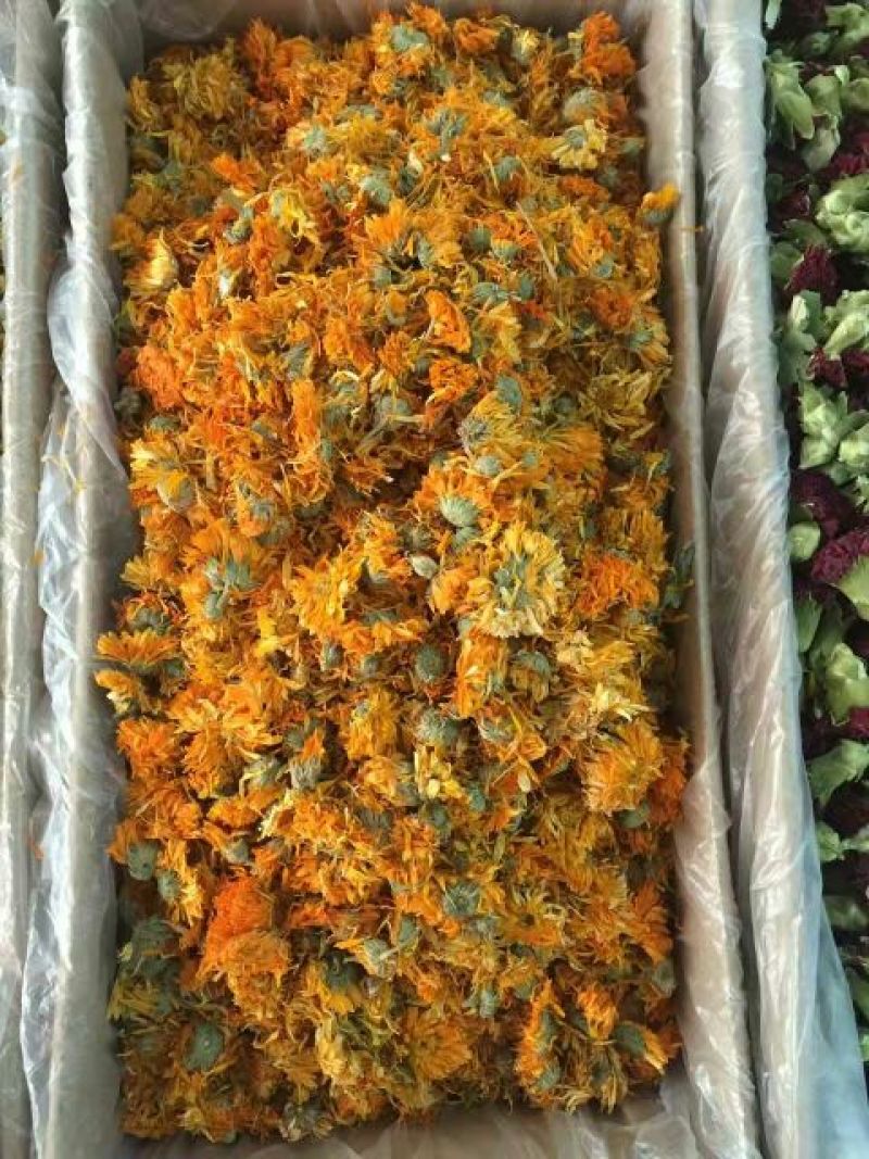 甘菊