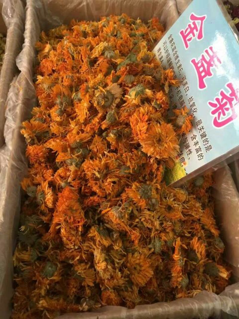 甘菊