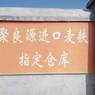 麦麸一级