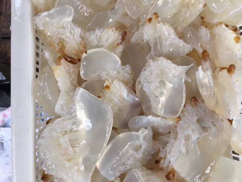 海蜇