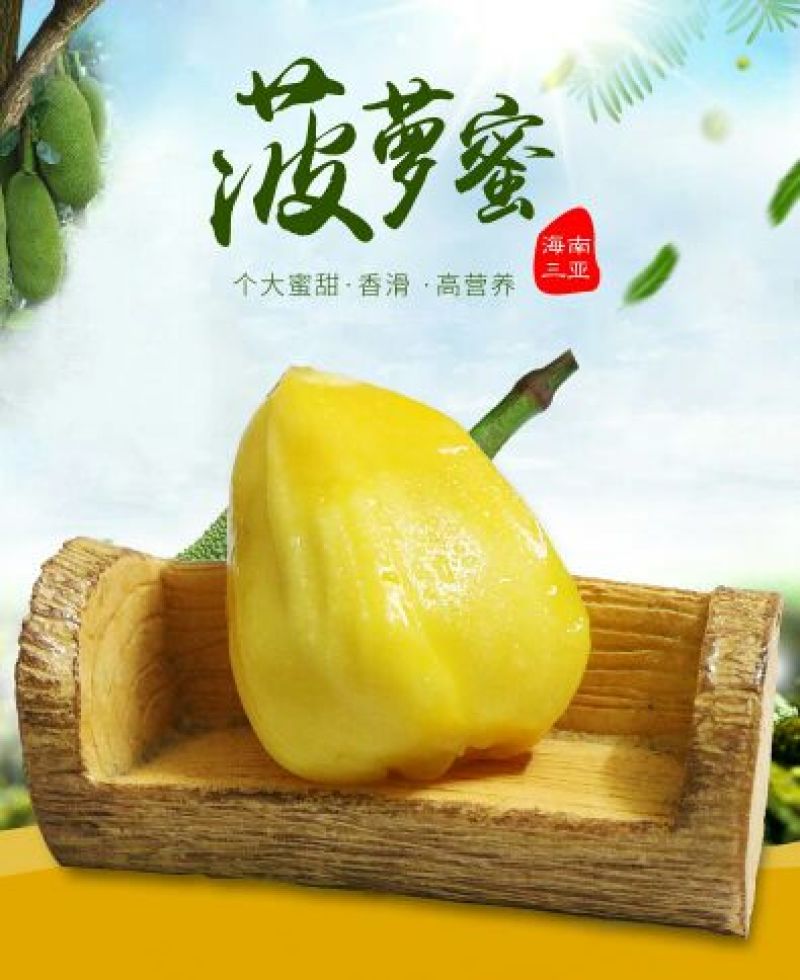 菠萝蜜10~15公斤