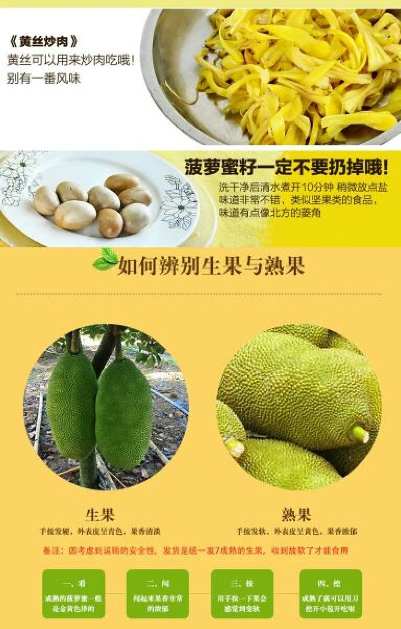 菠萝蜜10~15公斤