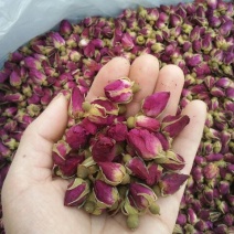 山东平阴玫瑰花茶批发零售无硫干品泡水