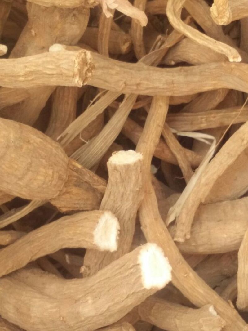白芷，各种规格都有，现货供应。。。。。