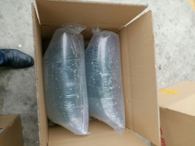 鲤鱼鱼苗，本公司专业技术指导，全国各地都可以空运，汽运。