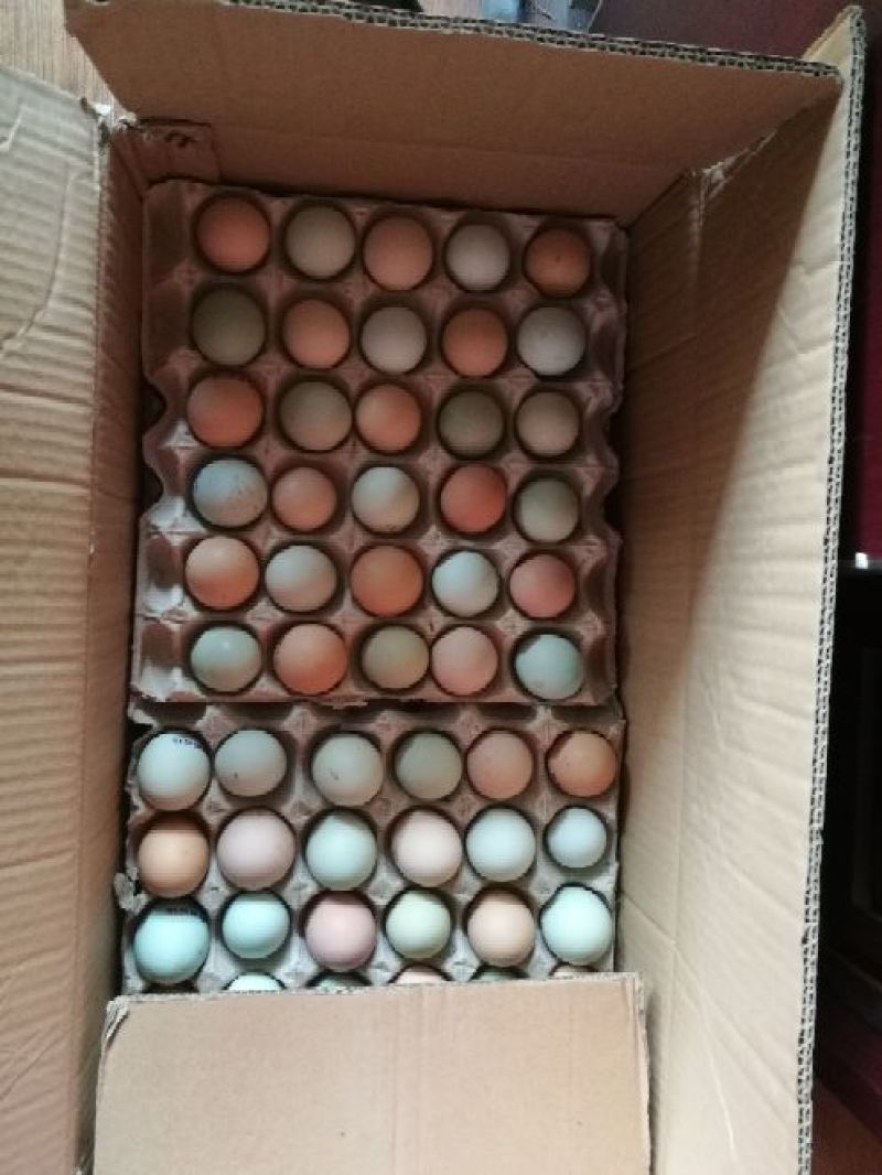 乌鸡蛋食用50~60g