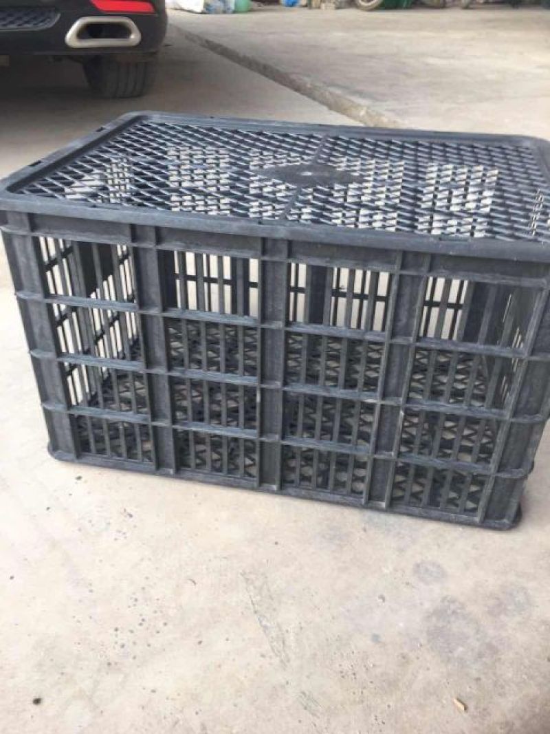 塑料筐外：635*440*340内：600*410*33