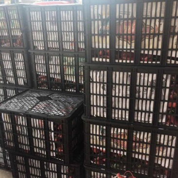 塑料筐外：635*440*340内：600*410*33
