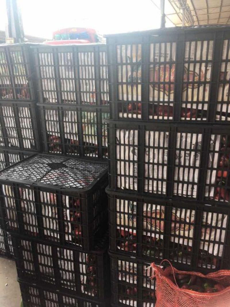 塑料筐外：635*440*340内：600*410*33