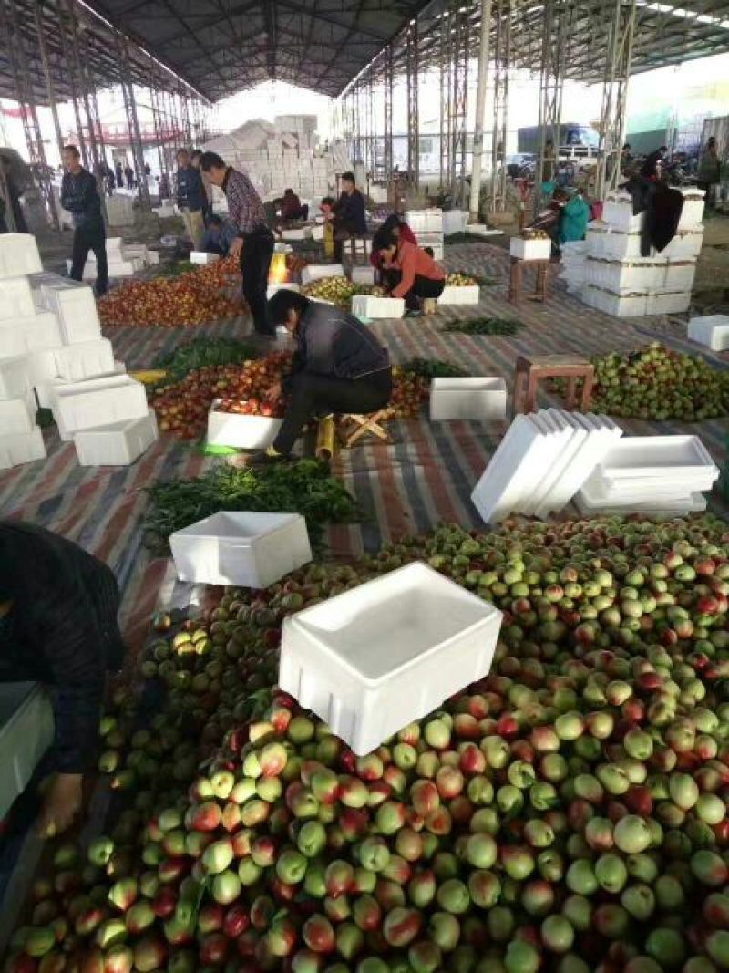 油桃3两以上