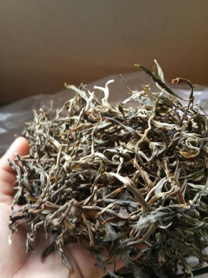 百年大树茶特级