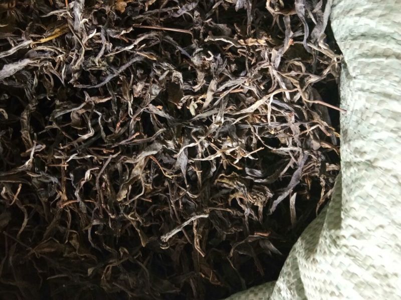 百年大树茶特级