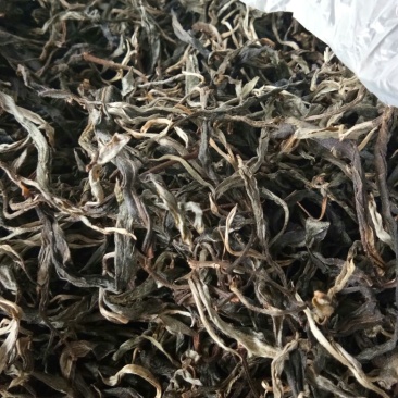 百年大树茶特级