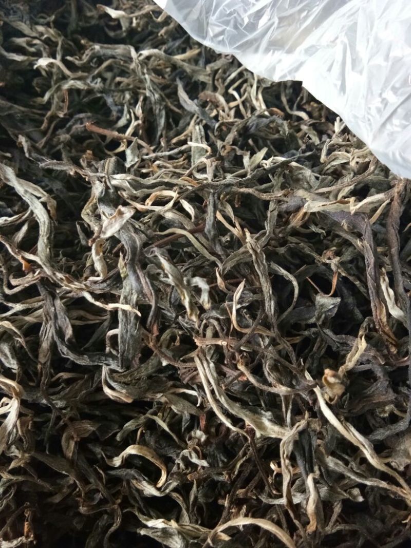 百年大树茶特级