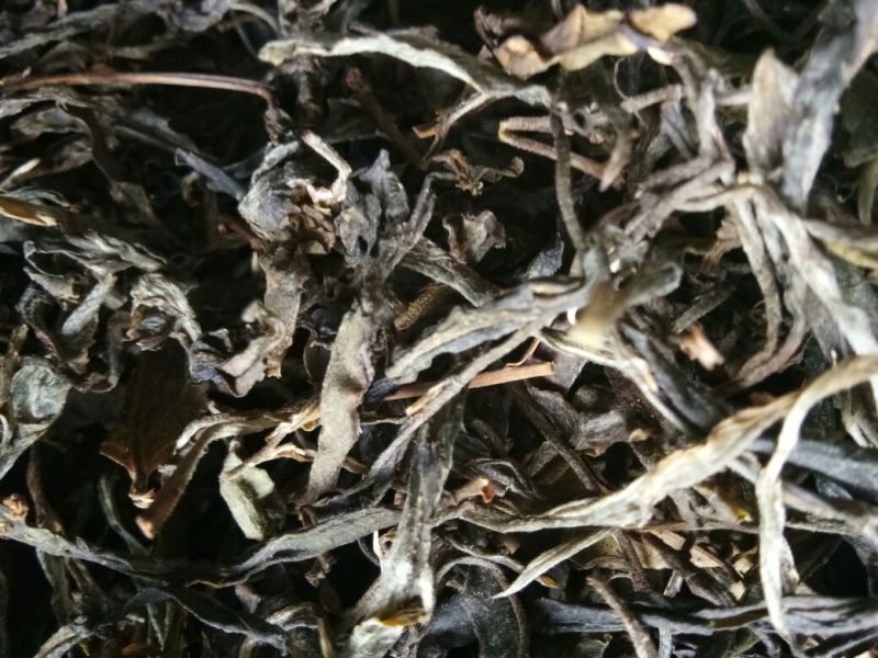 百年大树茶特级