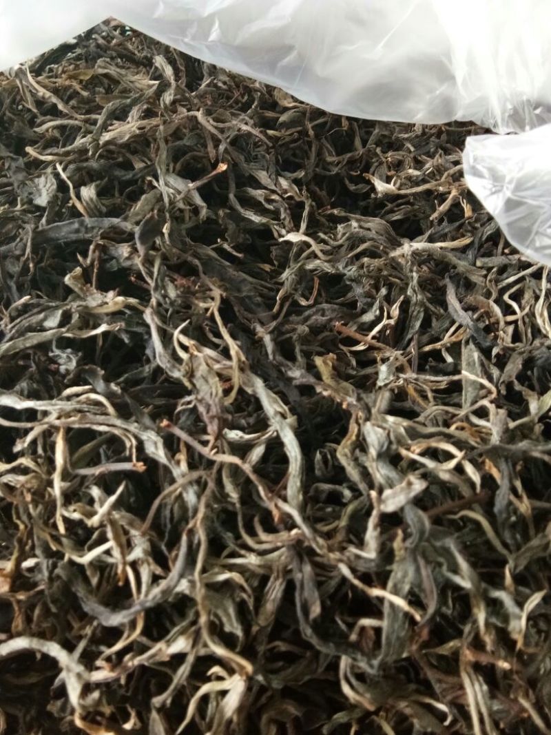 百年大树茶特级