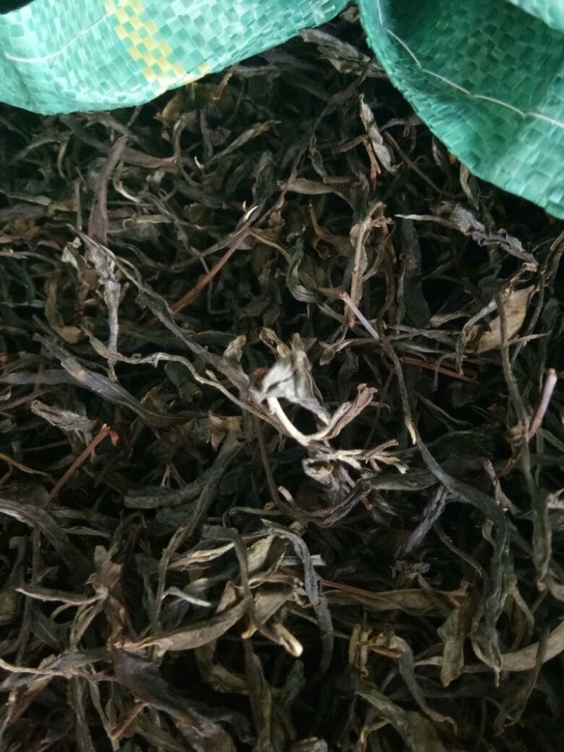 百年大树茶特级